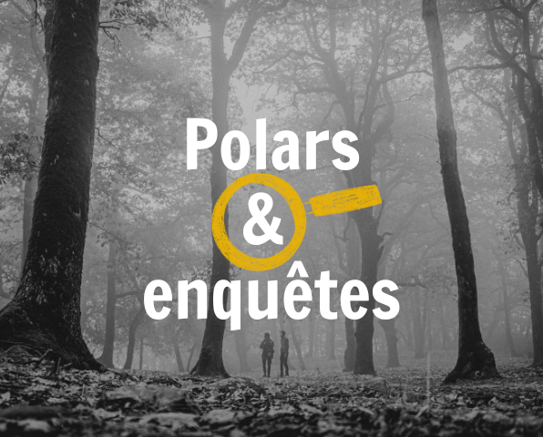 Polars et enquêtes