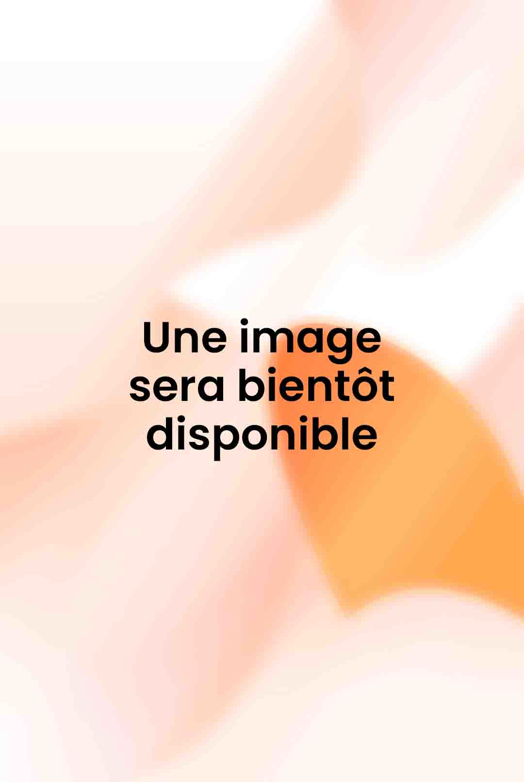 Guide de préparation au brevet d'État d'éducation sportif 1er degré : Tronc commun (Collection Sport plus enseignement)